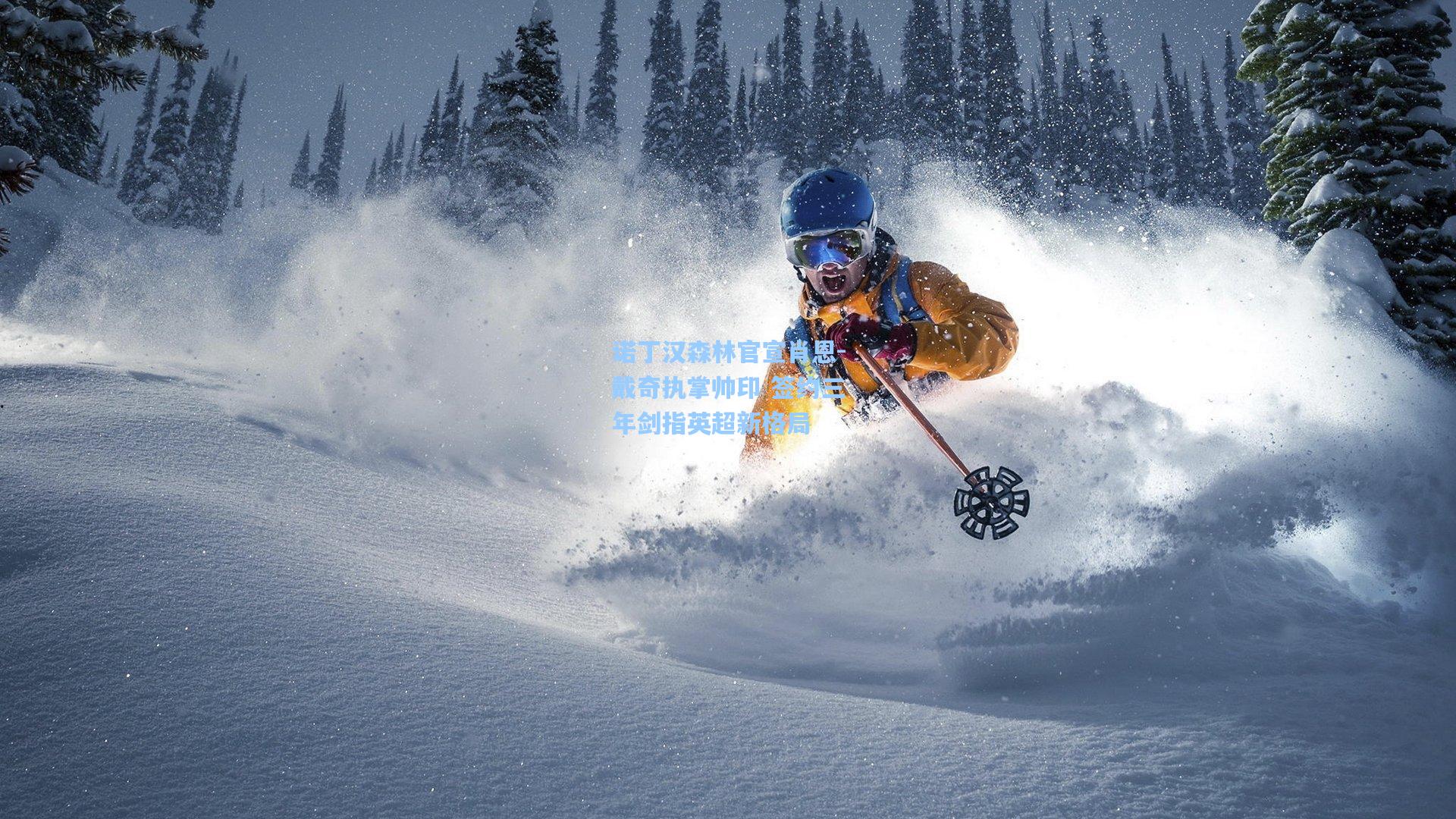 诺丁汉森林官宣肖恩-戴奇执掌帅印 签约三年剑指英超新格局